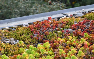 the cost of Lower Bitchet green roof installation