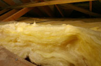 Lower Bitchet pitch roof insulation